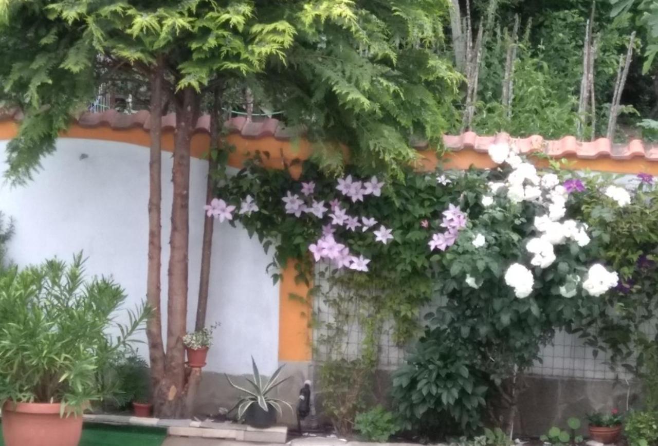 Vila Rosen Lozenec Exteriér fotografie