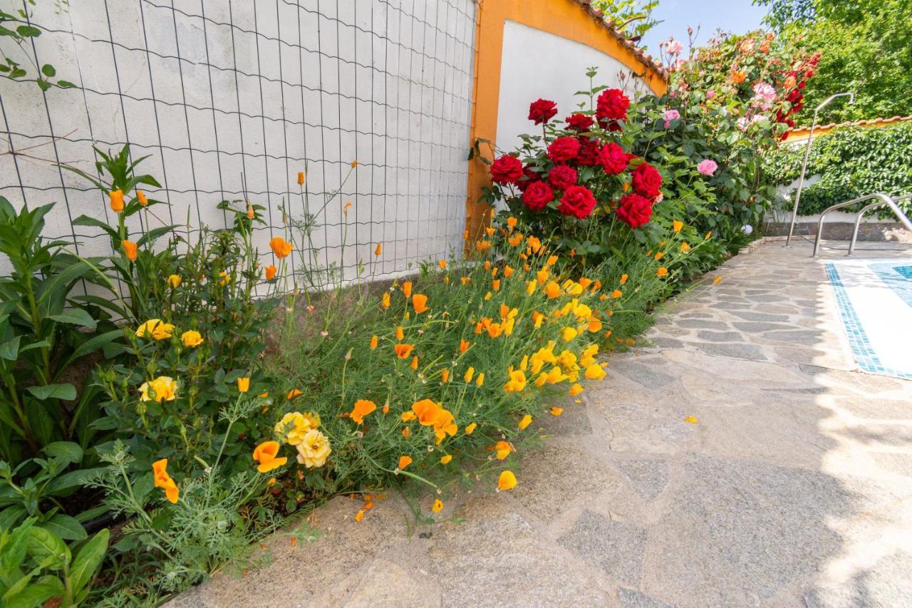 Vila Rosen Lozenec Exteriér fotografie